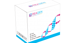 馬、驢源性恒溫核酸檢測(cè)試劑盒